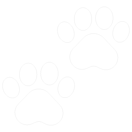 Icone de pattes de chat